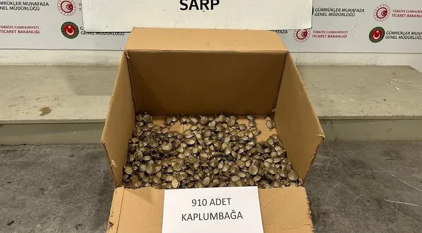 Sarp Gümrük Kapısı