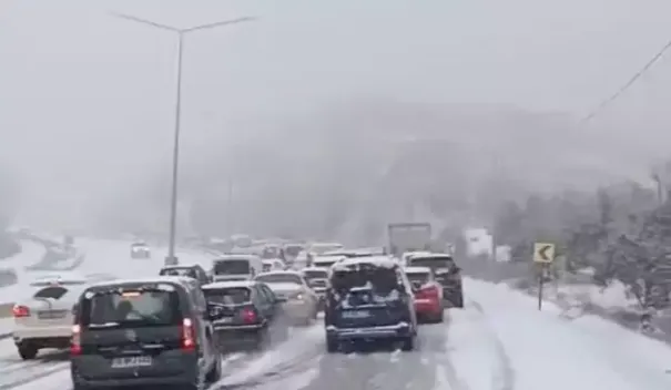 Bursa