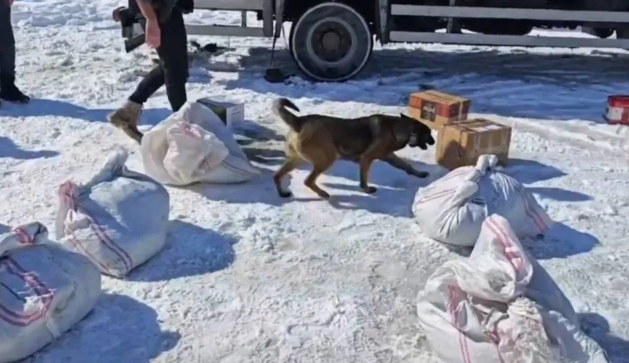 Uyuşturucu tacirlerinin akla hayale gelmeyecek yöntemlerine bir yenisi daha eklendi.