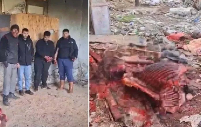 At keserken suçüstü yakalandılar! 4 şüpheli serbest bırakıldı