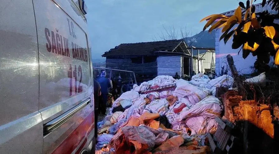 Ahırda tüfekle vurulmuş halde ölü bulundu