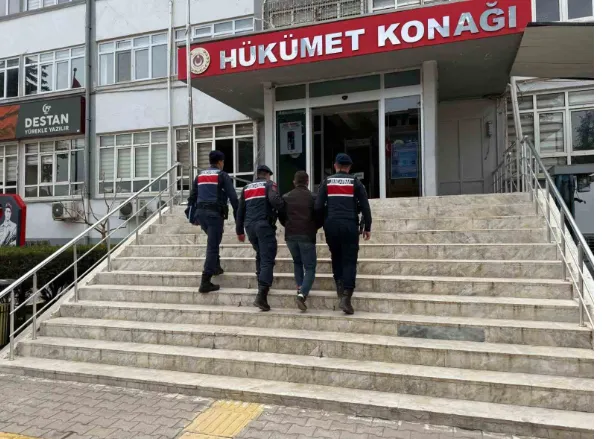 Mersin’de 16 hayvanı çalan şüpheli yakalanıp tutuklandı