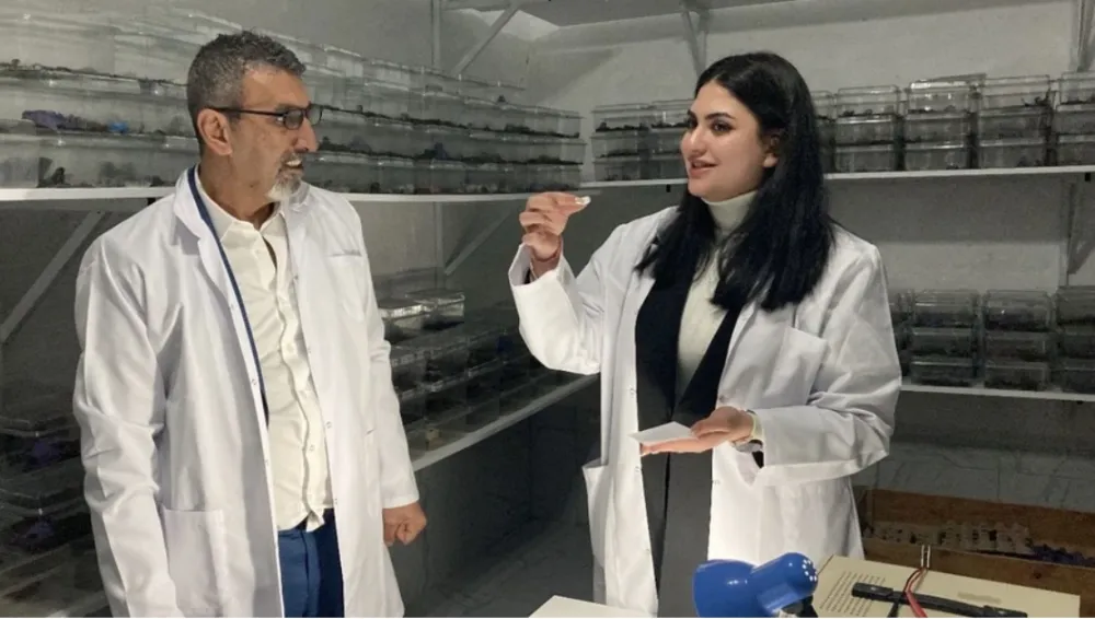 Akrep zehrini şekere damlatıp yiyor! Kadın girişimcinin tarzı gündem oldu