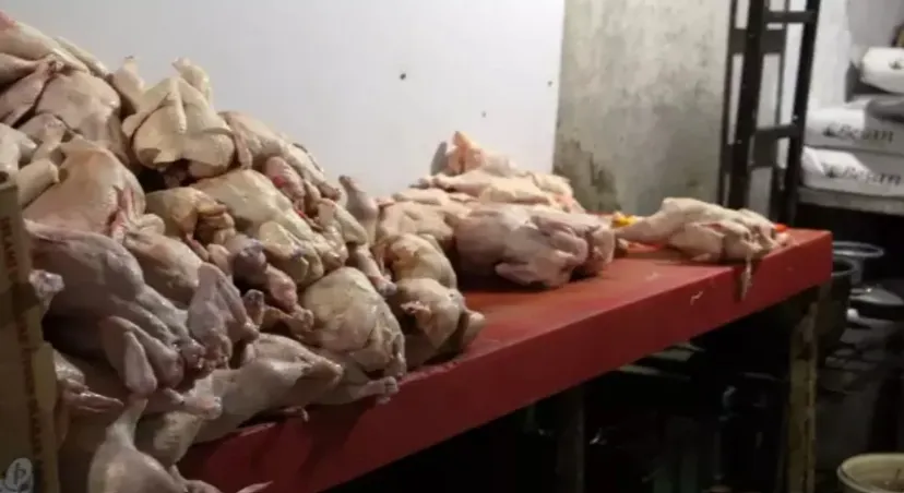 O işletmede iğrenç görüntüler! Mideniz kaldıracaksa, tıklayın da bakın