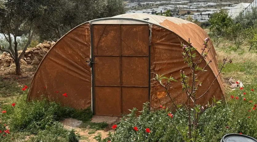 Masum bir sera gibi göründüğüne bakmayın...