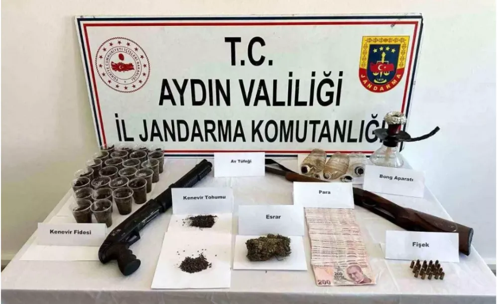 Aydın