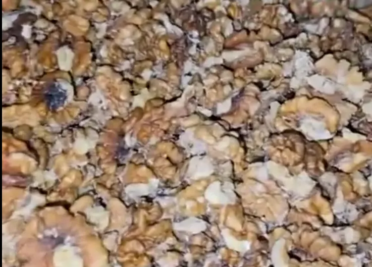 Türkiye genelinde 150 şubesi olan baklava zincirinin deposunda iğrenç görüntü