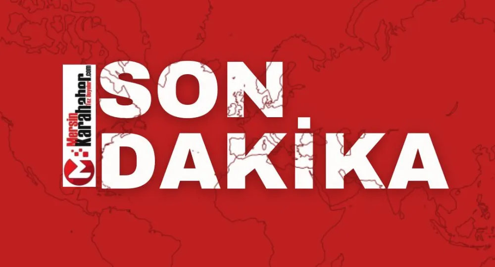 Yenidoğan Çetesi operasyonunda ikinci dalga
