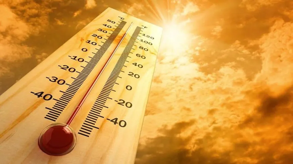 Bilim İnsanlarından Korkutan Uyarı! Herkesin Son 80 Yılı Kaldı!
