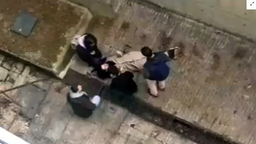 Kampüste feci iddia! Köpeklerden kaçarken 4 metre yükseklikten düştü!