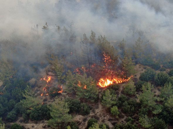 Gökbel Daglari alev alev yaniyor