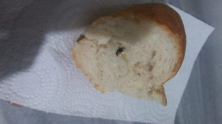 Bakin  Ekmekten  Ne Çikti!