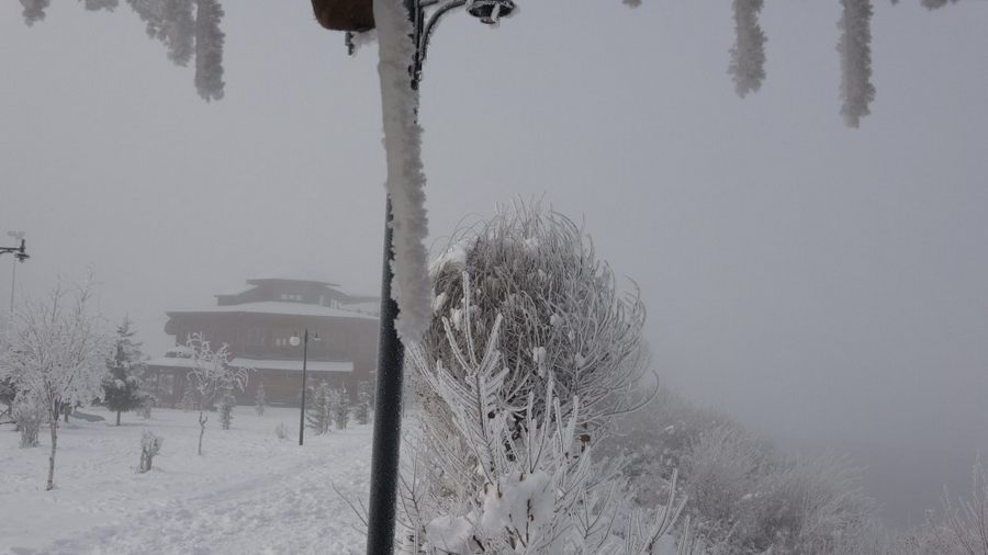 Ardahan dondu, Göle