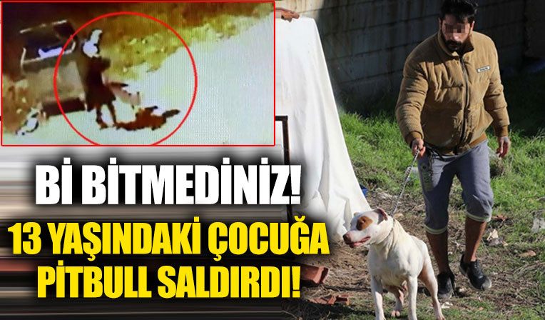 Yine pitbull dehseti! 13 yasindaki çocuk dehseti yasadi: Iste o anlar